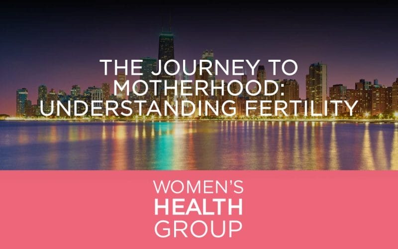 The Journey to Motherhood: Understanding Fertility