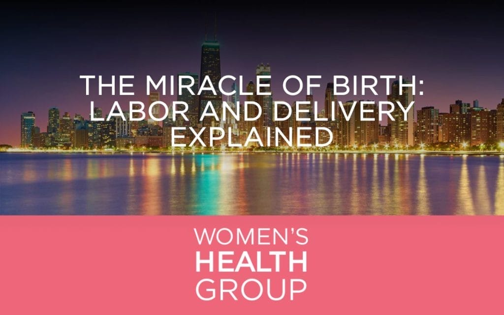 The Miracle of Birth: Labor and Delivery Explained