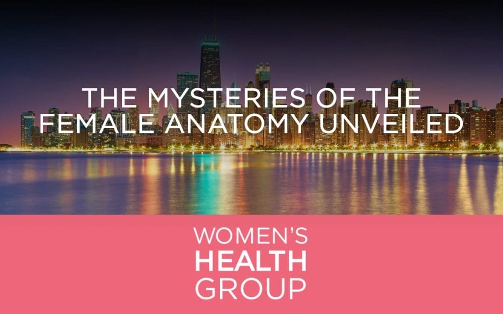 The Mysteries of the Female Anatomy Unveiled